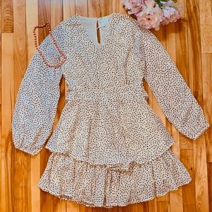 NWT Ruffle Long Sleeves Chiffon Dress